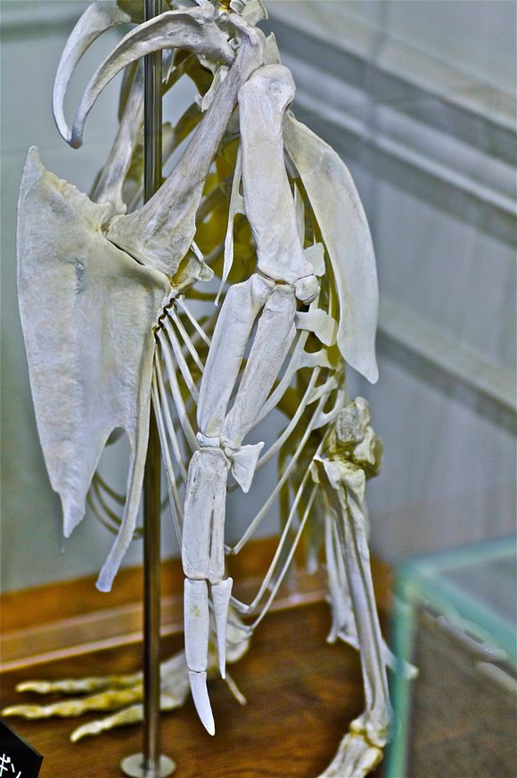e0142611_2394155.jpg
