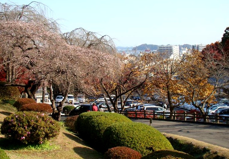 a0127015_20334261.jpg