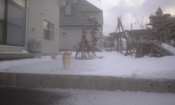 e0227023_2371672.jpg