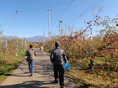f0022024_714397.jpg