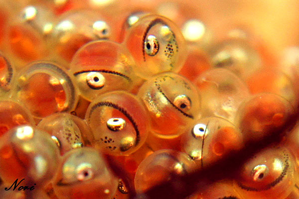 b0044726_23483975.jpg
