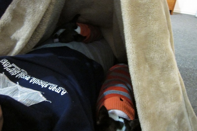 c0209932_206385.jpg