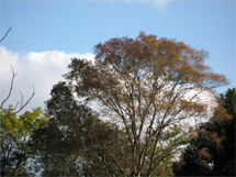 f0213232_12162490.jpg