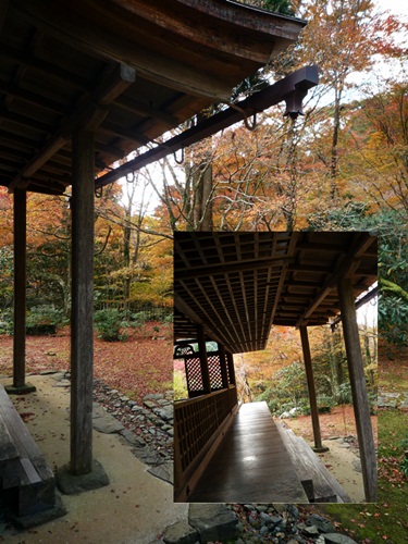 d0037233_10252862.jpg