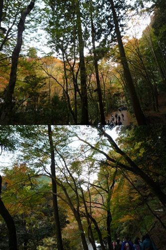 d0037233_10352274.jpg