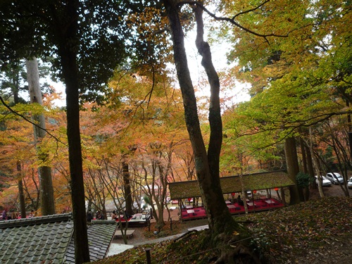 d0037233_1045446.jpg