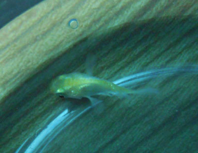 e0097534_16593119.jpg