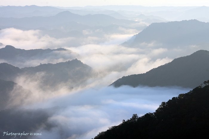 e0083238_21354378.jpg