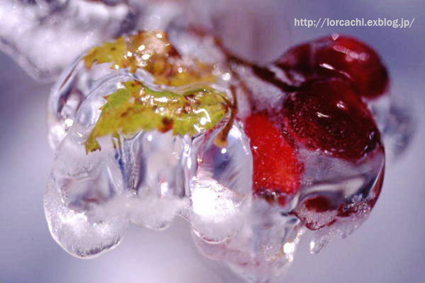 f0045844_14513319.jpg