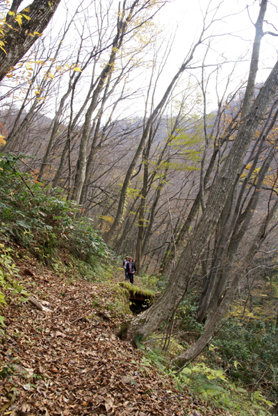 f0214649_8551033.jpg