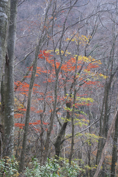 f0214649_8561911.jpg