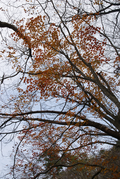 f0214649_8565787.jpg