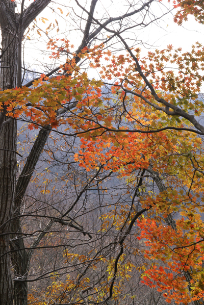 f0214649_8574995.jpg