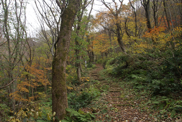 f0214649_916242.jpg
