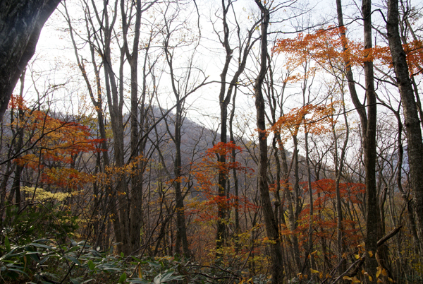 f0214649_972491.jpg
