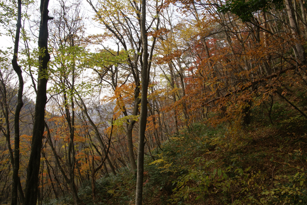 f0214649_973913.jpg