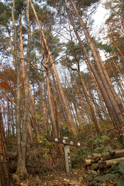 f0214649_982857.jpg
