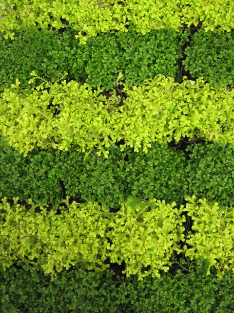 f0220152_18122675.jpg