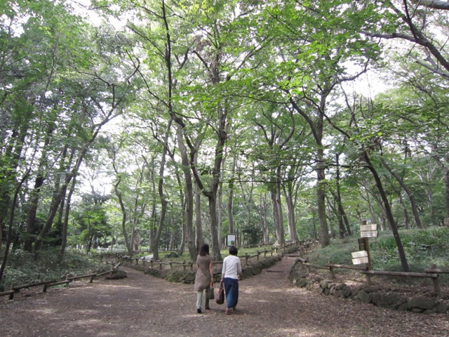 b0173754_1418382.jpg