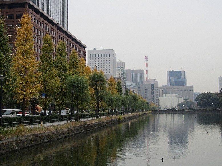 e0129656_2351694.jpg