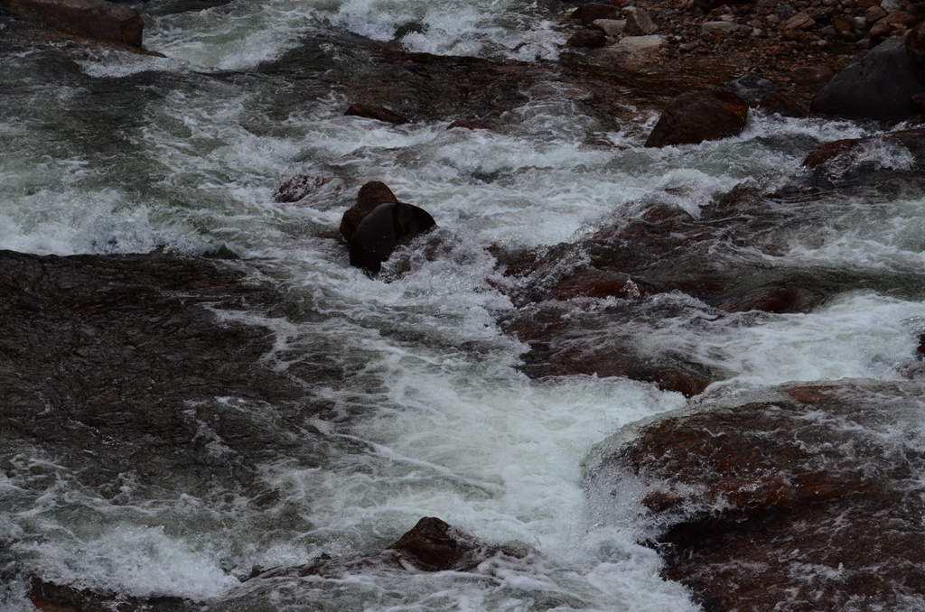 e0223456_8335111.jpg