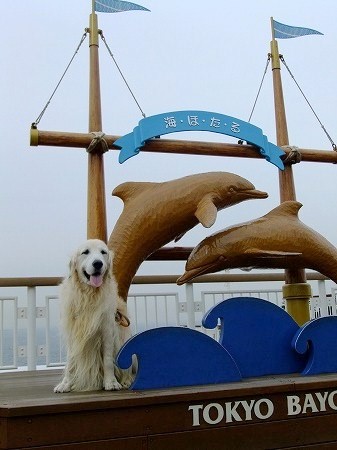 c0097558_1372925.jpg