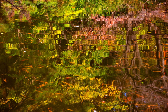 e0243965_77410.jpg