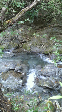 c0144868_14414796.jpg