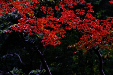 e0045768_2252250.jpg