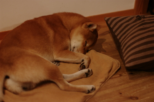 f0214771_1072751.jpg