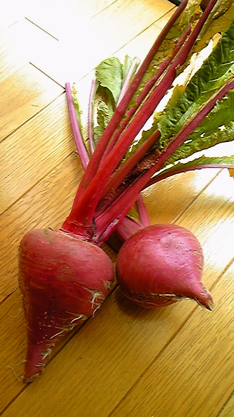 e0118274_21543127.jpg