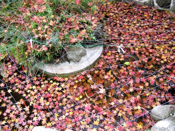 c0221281_12483420.jpg