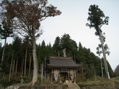 a0038882_8443221.jpg