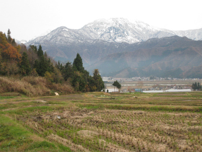 a0038882_8453815.jpg