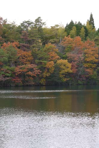 f0222692_15434015.jpg
