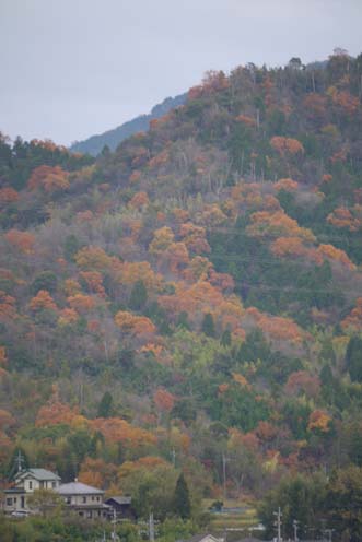 f0222692_15451682.jpg