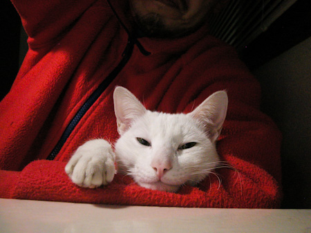 f0239100_22314094.jpg