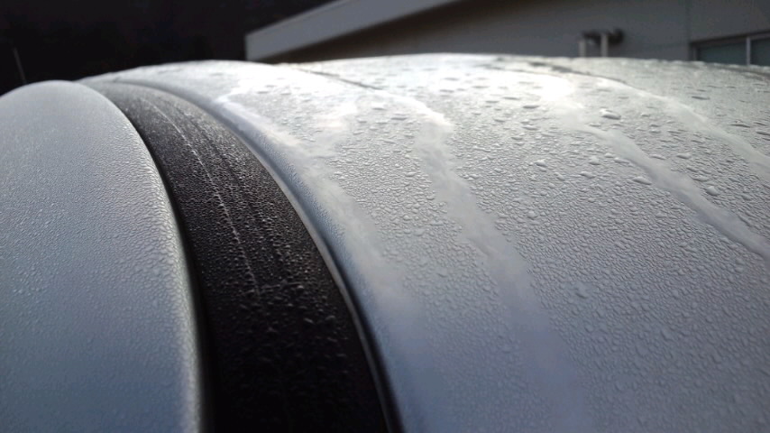 d0093903_1133384.jpg