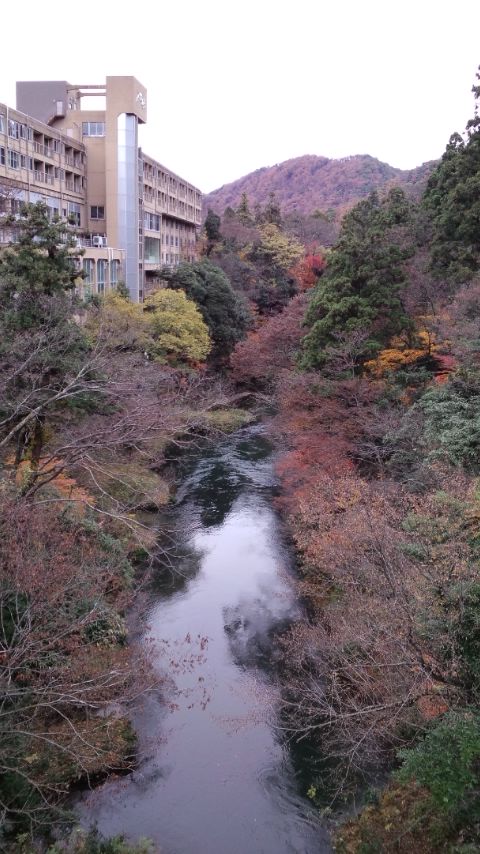 d0093903_19461941.jpg