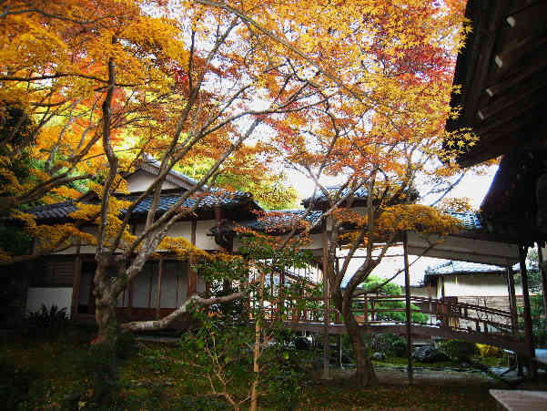 d0154609_9211598.jpg