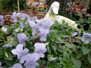 c0190010_2022710.jpg