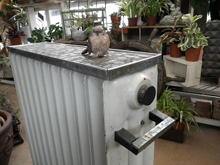 c0190010_2042463.jpg