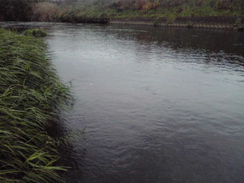 f0079411_204107.jpg