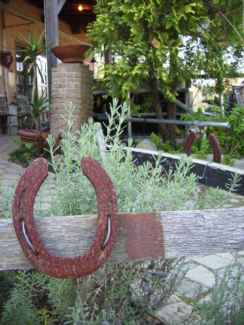 f0208812_11482886.jpg