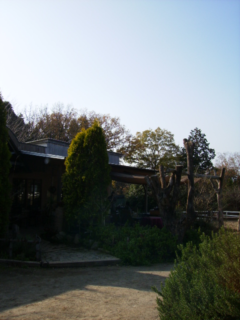 f0208812_11551039.jpg