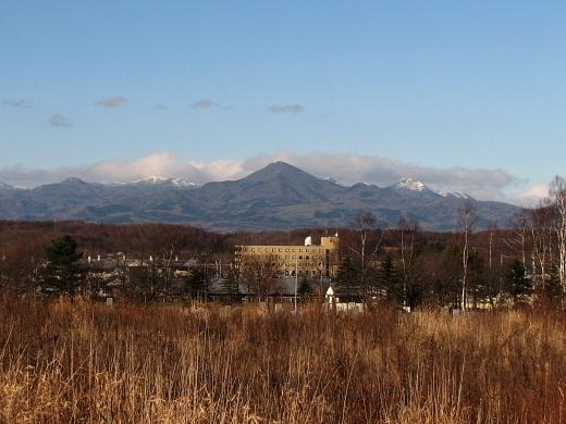 e0062415_1842717.jpg