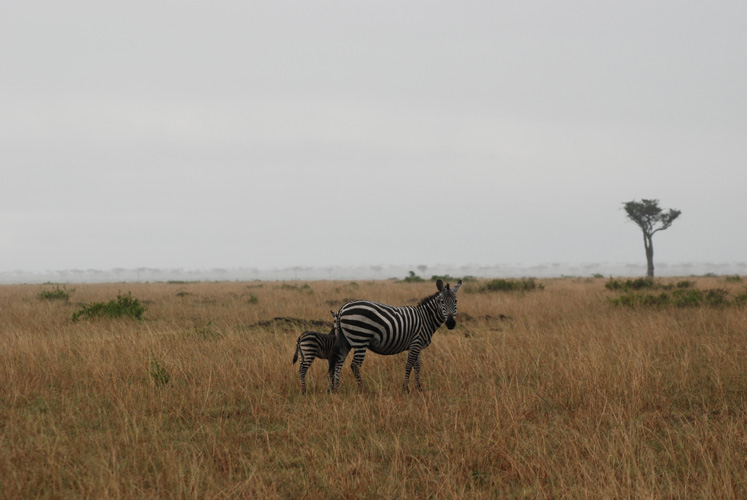 f0213817_444086.jpg
