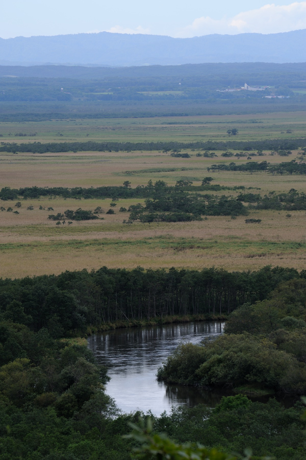 b0146024_16593139.jpg