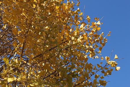 c0157226_0425695.jpg