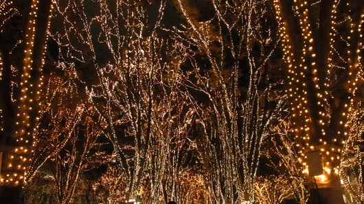 e0206828_23493897.jpg